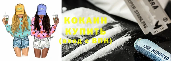 молекула духа Новозыбков