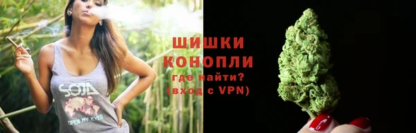 PSILOCYBIN Беломорск