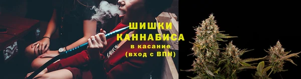 каннабис Белокуриха