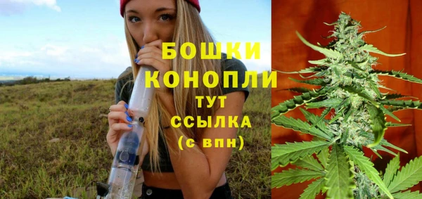 PSILOCYBIN Беломорск